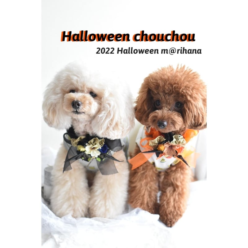 終了】ハロウィンシュシュ2022 | m@rihana