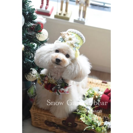 【ファイナル】Snow Garden 🧸bear