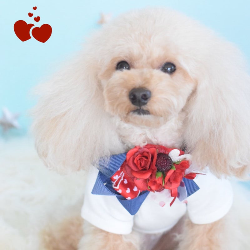 バレンタイン♡チョーカー | m@rihana