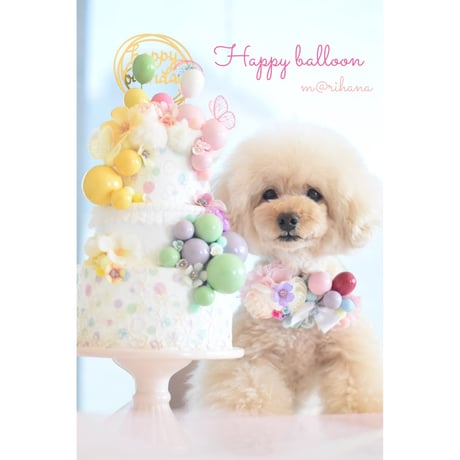 【限定】バルーンチョーカー🎈🎈
