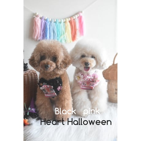 【ファイナル】ハート♡チョーカーハロウィンver.