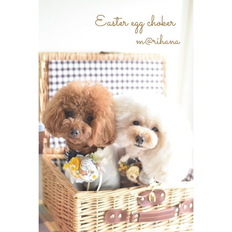 限定】イースターエッグチョーカー | m@rihana