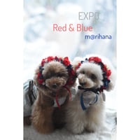【限定】レッド×ブルー❤️💙カチューシャ