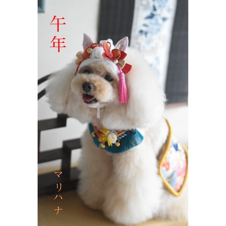 【ファイナル】2026年🎍干支耳『午年』