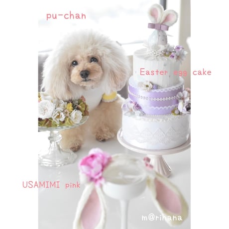 【限定】イースターエッグ♡ケーキ（撮影小物）
