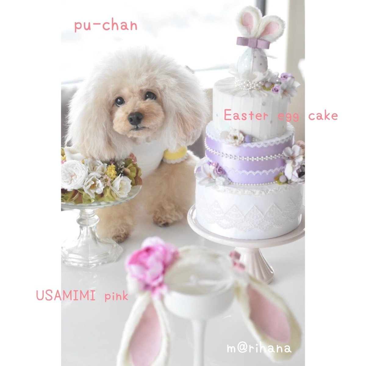 限定】イースターエッグ♡ケーキ（撮影小物） | m@rihana