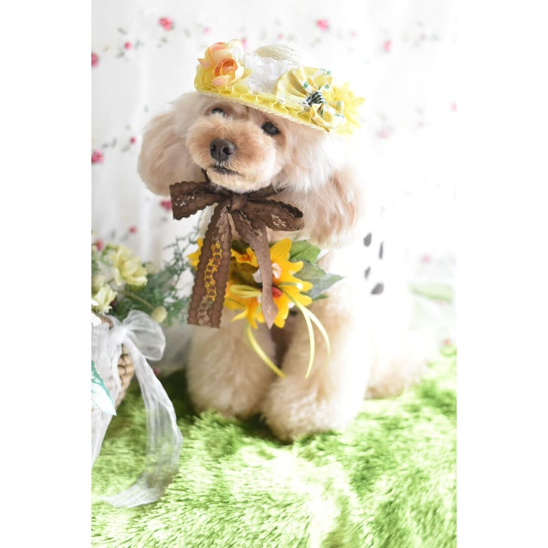 限定】ひまわり🌻🍋チョーカー&麦わらset | m@rihana