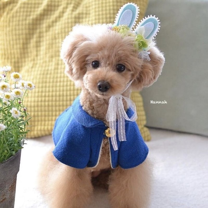 セット】イースターバニーヘアアクセサリー＆チョーカー | m@rihana