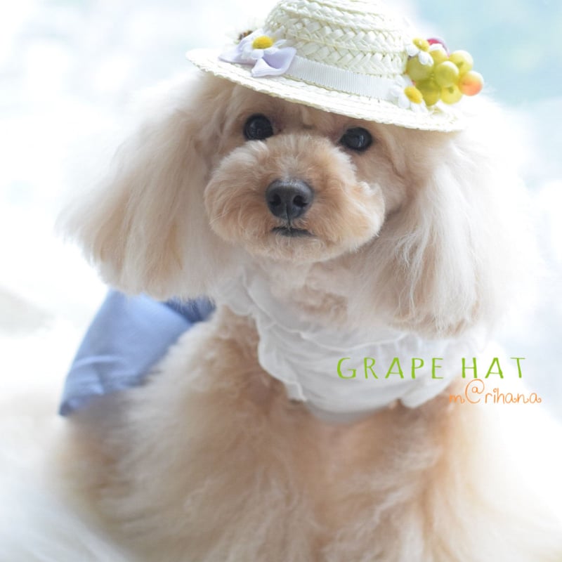 フルーツ麦わら帽子 | m@rihana