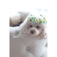 オーダー花かんむり サイズ調整可能 ♪ やわらか花かんむり/ひまわり ☆ラッピング無料