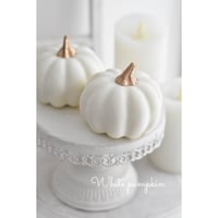 【終了】ハロウィン撮影小物 ・ホワイトパンプキン〜大サイズ〜