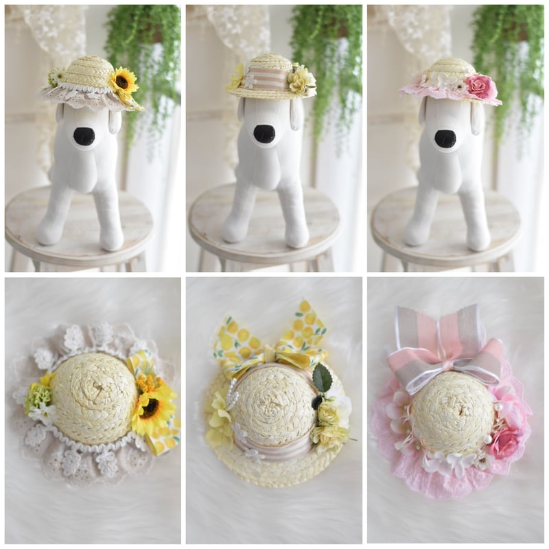 麦わら帽子Ꮮお好みカラー✗ホワイト犬・猫 プルメリア装飾❁handmade フルーツ麦わら帽子 | m@rihana