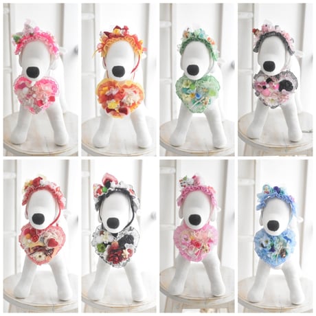 【限定】ワンワンワンワン🐾セット
