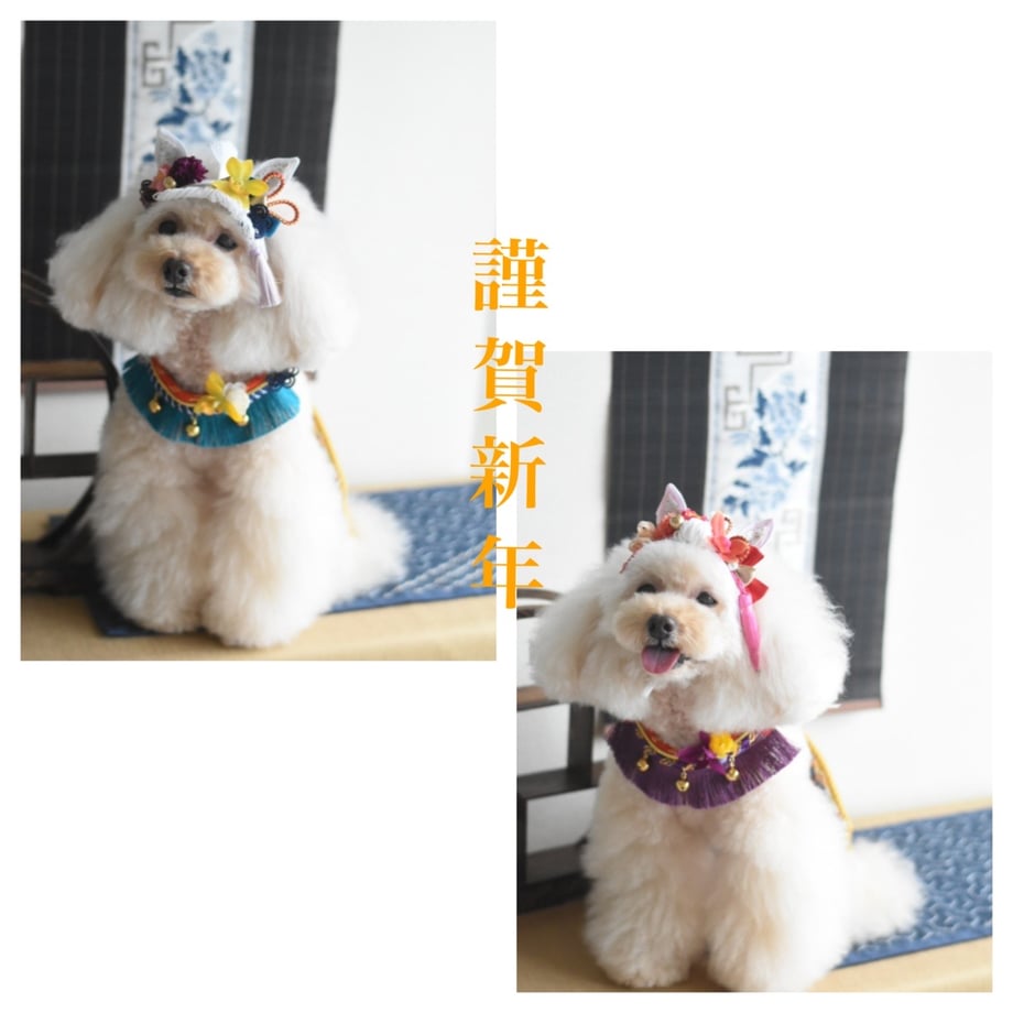 68f622bba39907d4ccf33be3