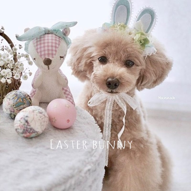 ドイツ ハーン社 イースターバニー Easter Bunny ペア 2点セット 第4弾】イースターバニーヘアアクセサリー | m@rihana