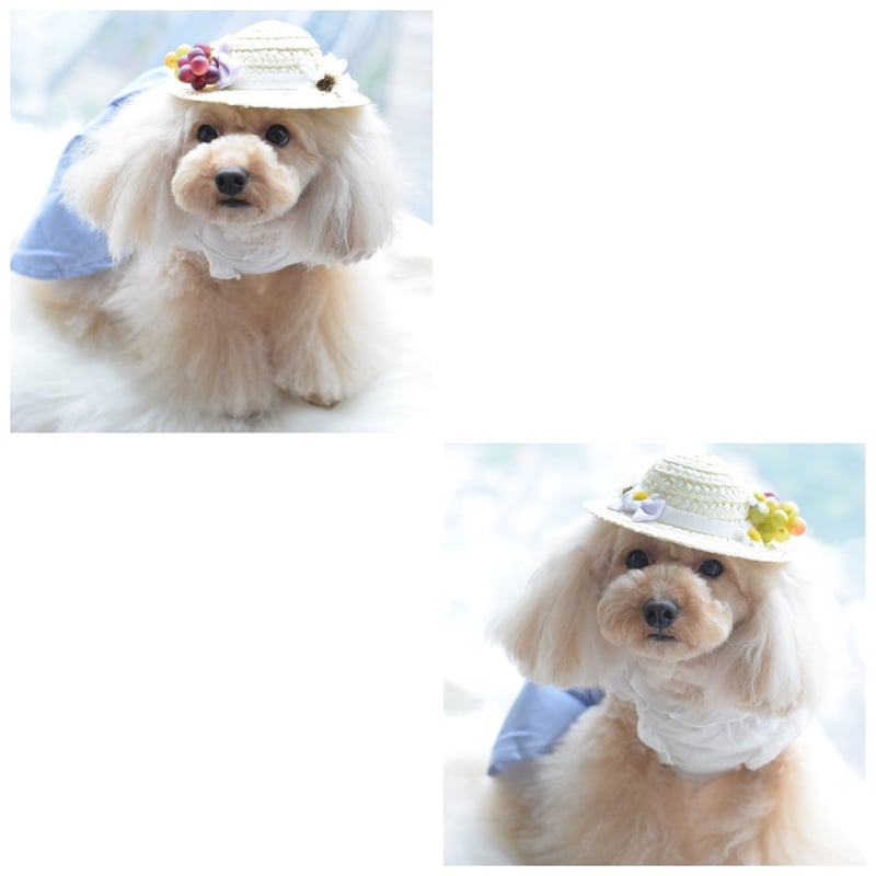 フルーツ麦わら帽子 | m@rihana