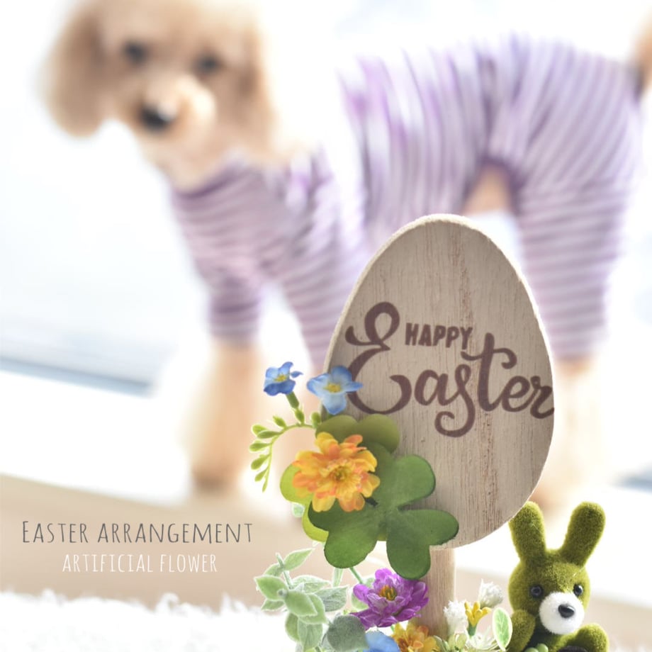 5c5bb603aee1bb200535827a