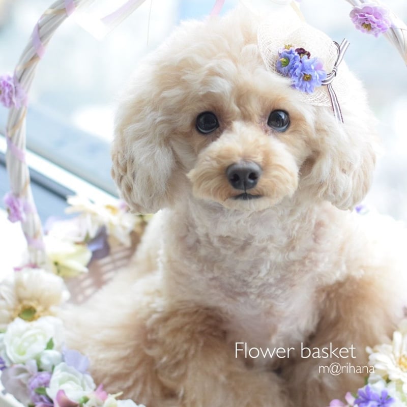 再販】ミニ・麦わら帽子バレッタ | m@rihana