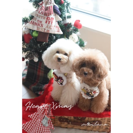 【チャリティー】ツリーバッグ🎄