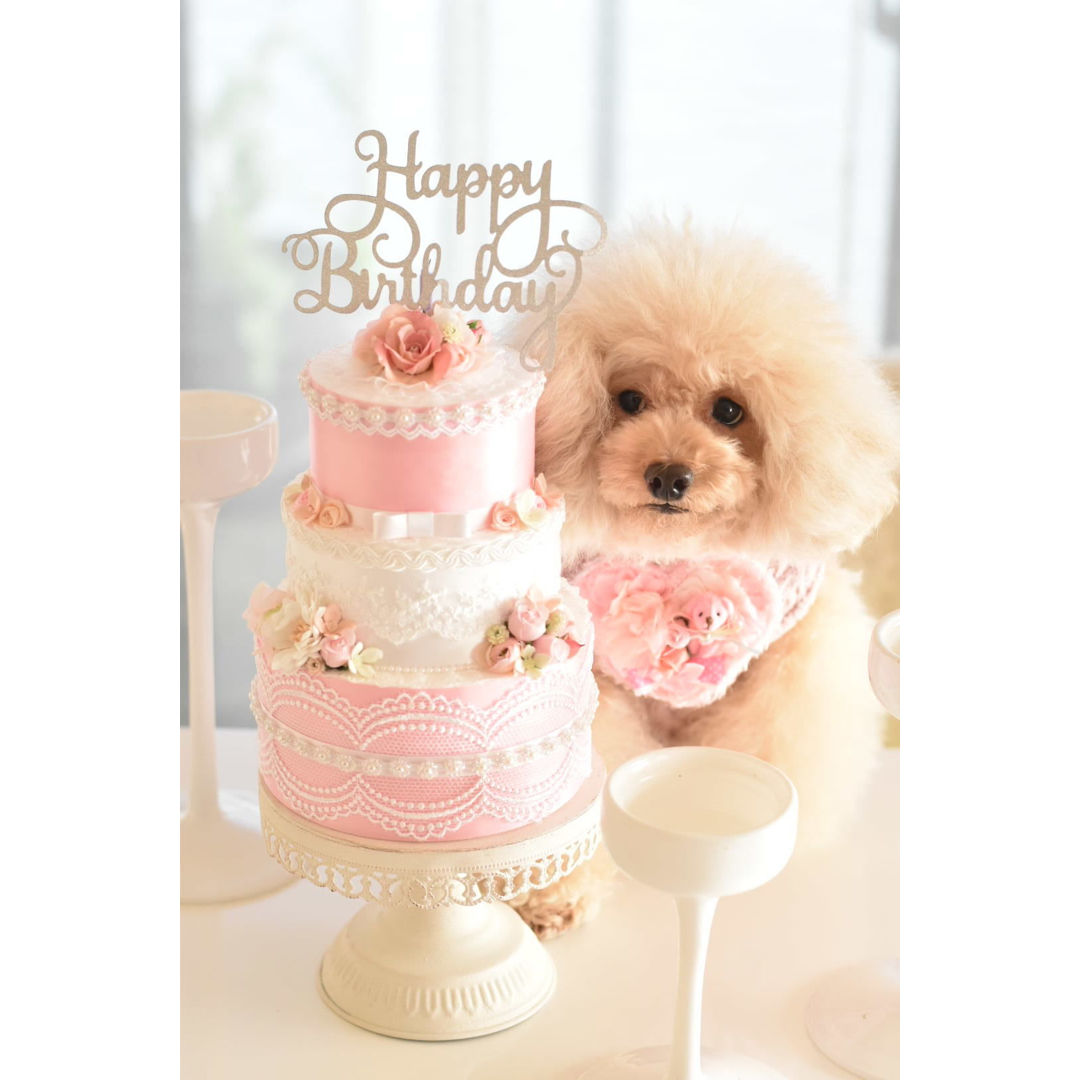 バースデーケーキ・ピンク3段（撮影小物） | m@rihana