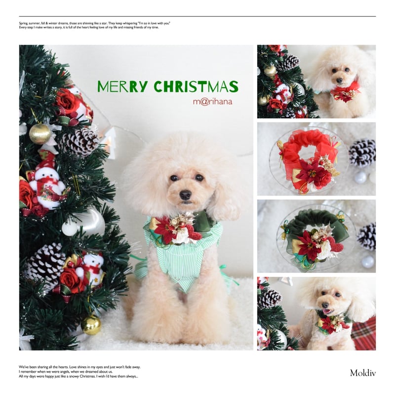 終了】クリスマス シュシュチョーカー | m@rihana