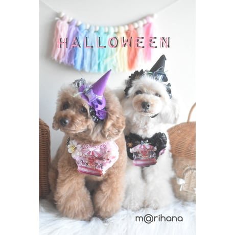 【ファイナル】ハート♡チョーカーハロウィンver.