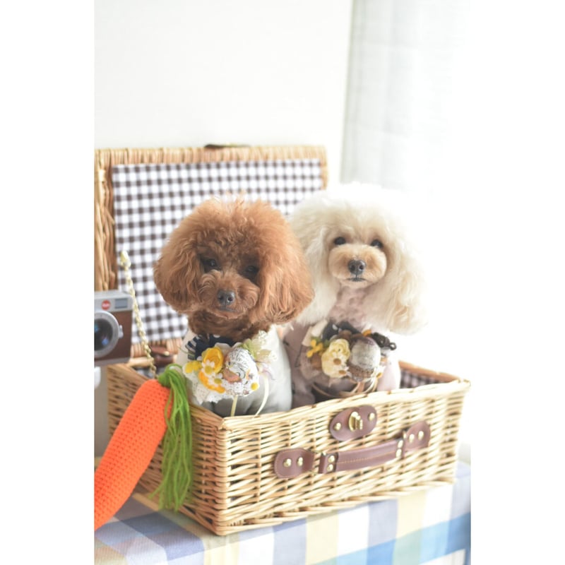 bakutorau トリミングチョーカー ウサギ、イースター 犬リボンチョーカー《イースターピンク》 犬猫アクセサリー 写真撮影