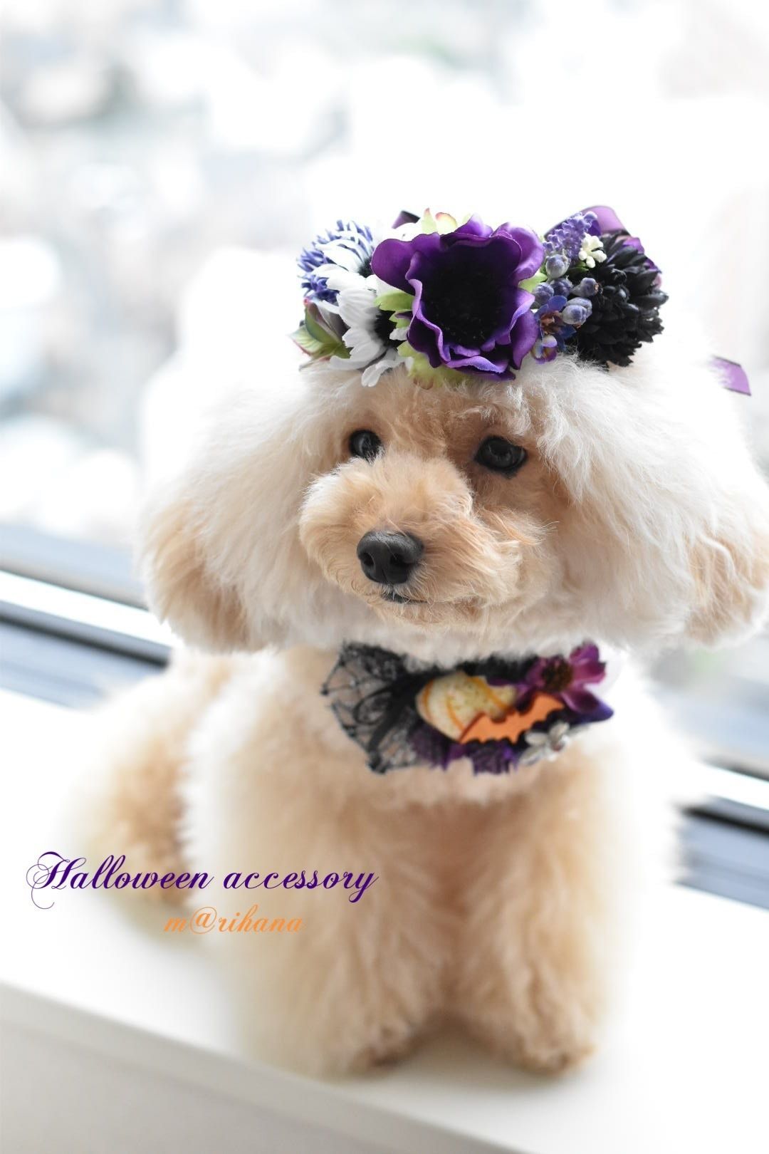 限定】season❤︎花かんむり | m@rihana
