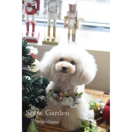 【ファイナル】Snow Garden 🧸bear