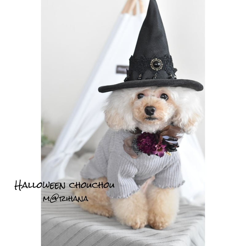 ME♡さま★ハロウィン★トリミングチョーカー100個 ME♡さま☆ハロウィン☆トリミングチョーカー100個 - メルカリ