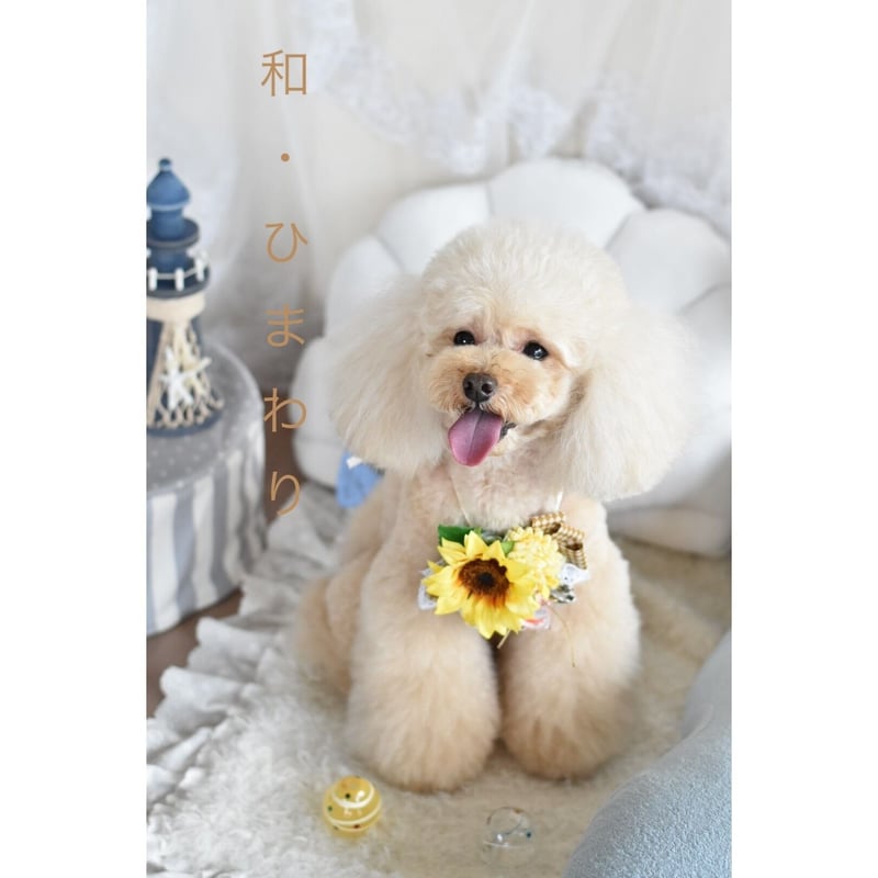 AIoha‪ ·͜·ページ トリミングチョーカー ひまわり AIoha‪ ·͜·ページ‬‬