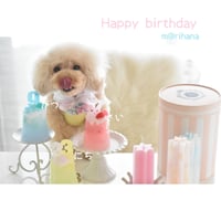 birthdate♡candle 3個セット