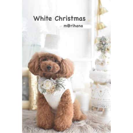 【限定】White Christmas cake🎄