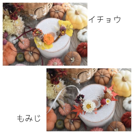【限定】秋の実りチョーカー2025
