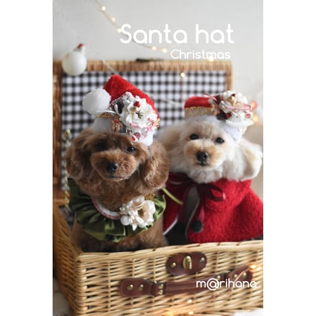 【ファイナル】Classical Christmas