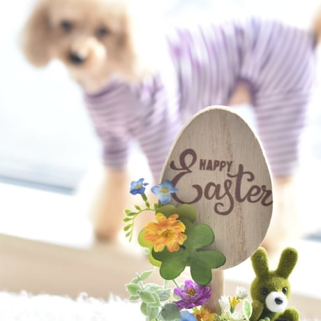 Happy Easterアレンジ撮影小物