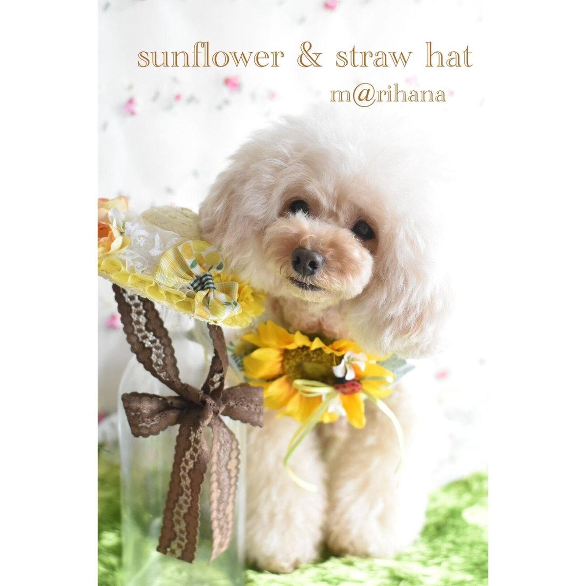 限定】ひまわり🌻🍋チョーカー&麦わらset | m@rihana