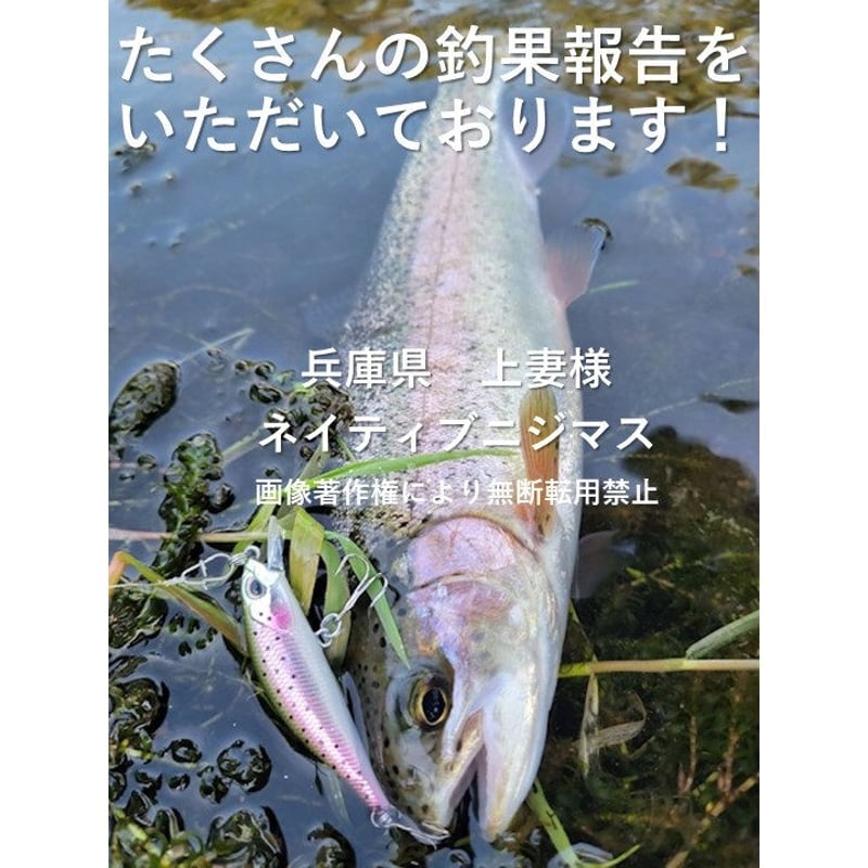 ナイトアーミー 釣具ルアー 3.5g トラウトミノー 5色 ルアーセット