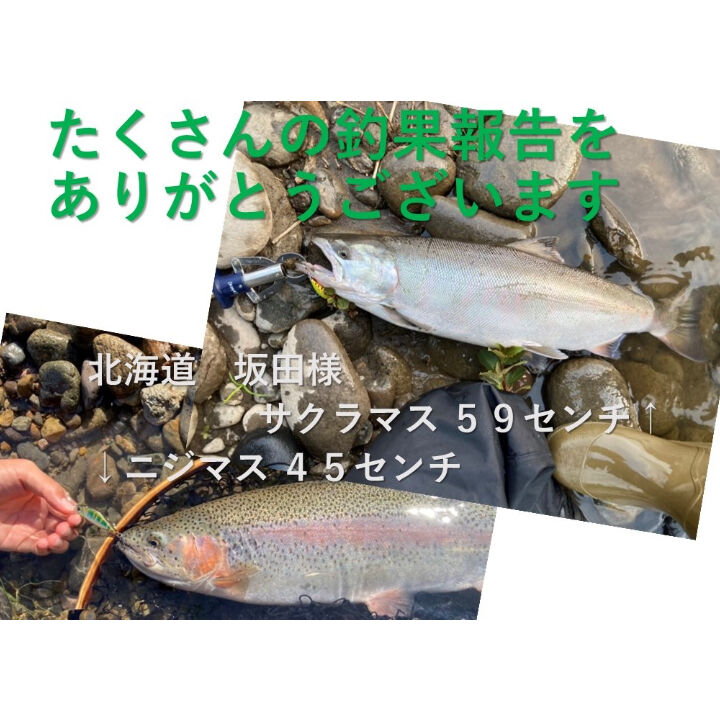 ナイトアーミー 釣具ルアー 4.5g 誘う トラウトミノー 5色 ルアー