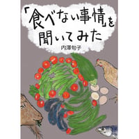 CD付コンプリートブック 石川鷹彦WORKS II（A4判） | AISA STORE