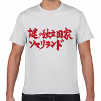 【送料無料】謎の独立国家ソマリランドＴシャツ（白色／ S・M・L・XL）改訂
