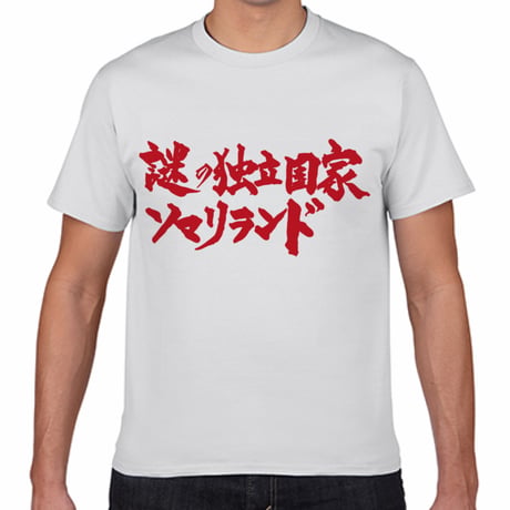 【送料無料】謎の独立国家ソマリランドＴシャツ（白色／ S・M・L・XL）改訂