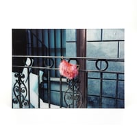 PINK BAG（297x420mmアクリルマウント写真）
