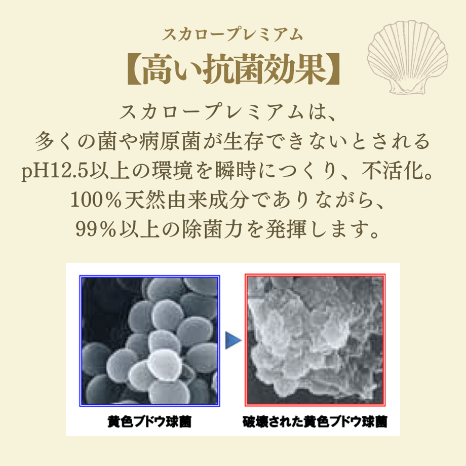 639014323a327e2a73534deb