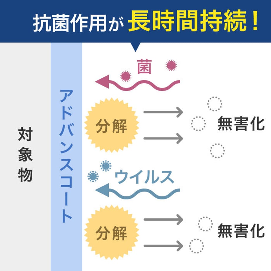 605428a89086546bf7900fb8