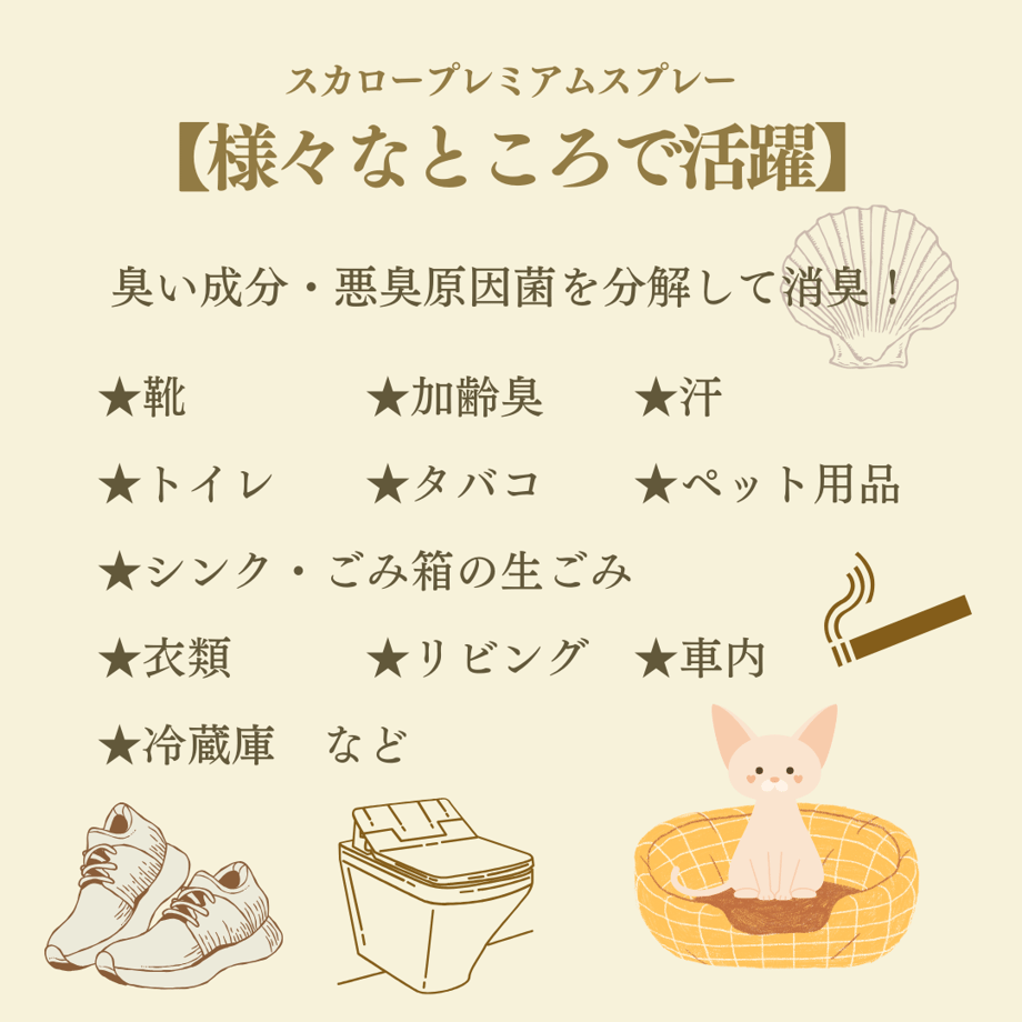 667149b8a6f4f8002a9008d3