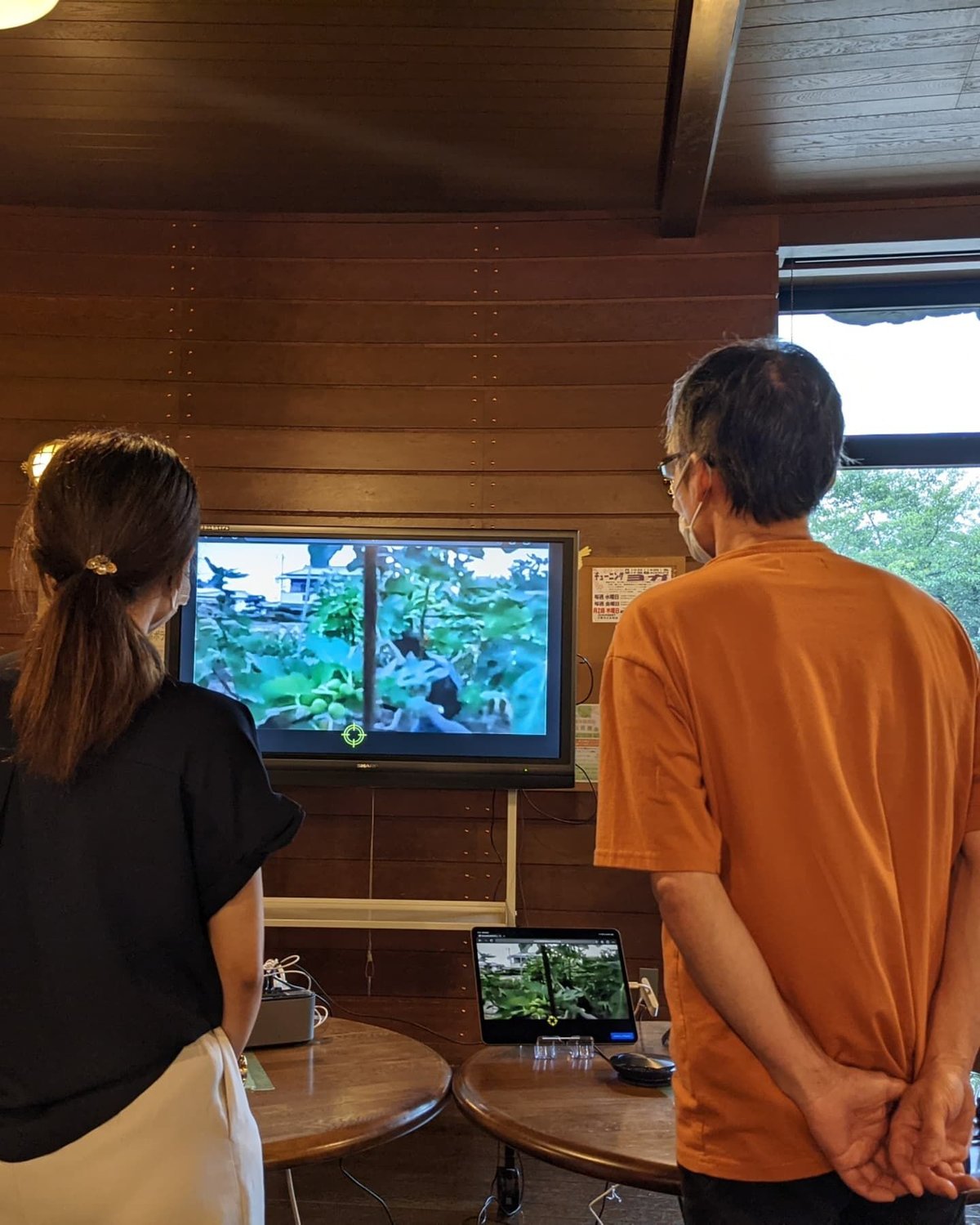 無花果緑茶(3g✕5p)キューブBOX入り | 岡田園茶舗