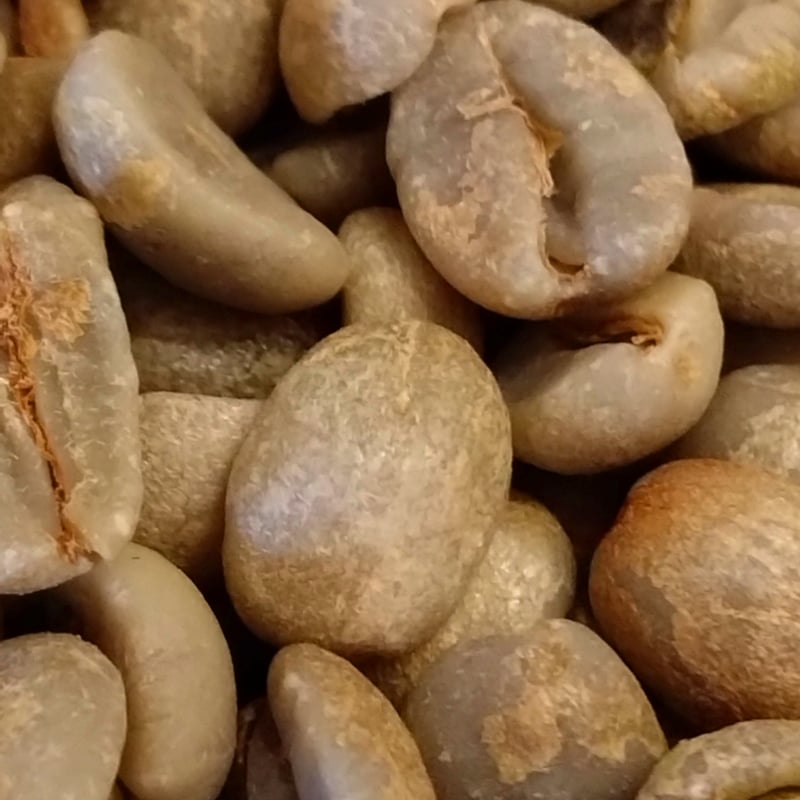 ブラジル カルモデミナス マンチケイラ オレンジショコラ アマレロ