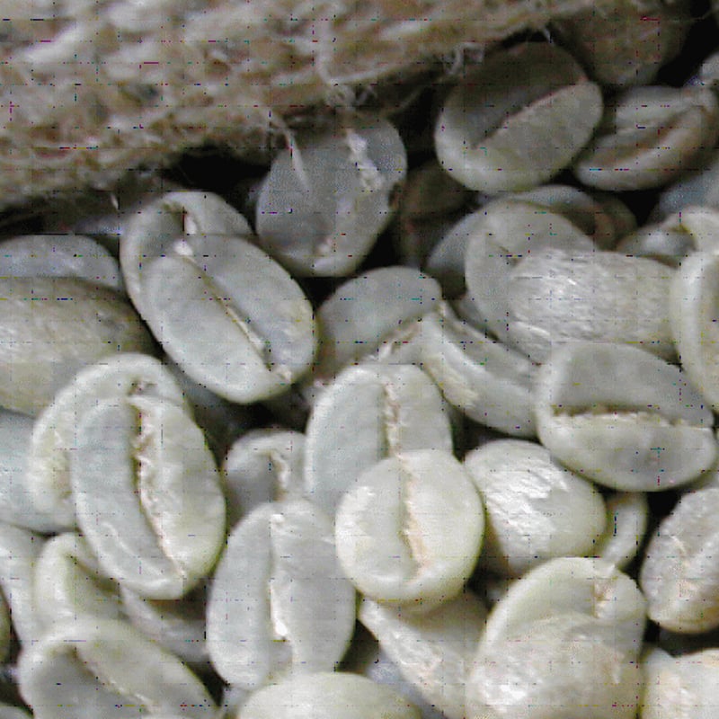 生豆】有機栽培 JAS認証 エクアドル アンデスマウンテン | The Coffee