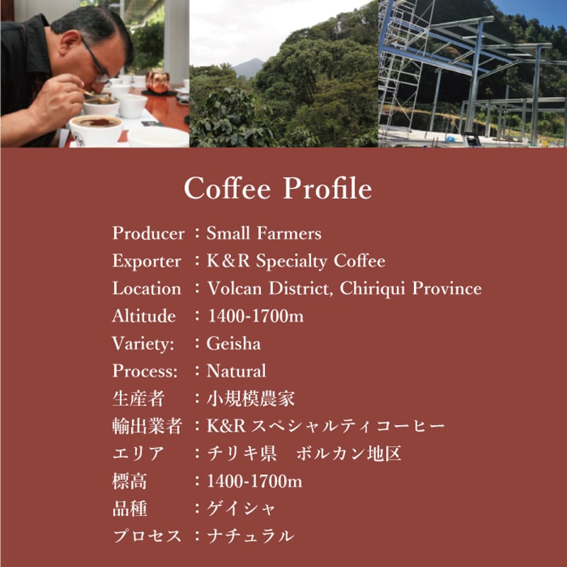 パナマ ボルカン ゲイシャ ナチュラル | The Coffee Market